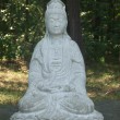 Meditation
